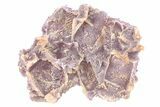 Purple Amethyst Pseudomorph After Barite - Turkey #301753-1